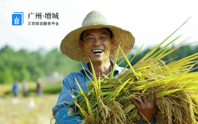 增城 广州